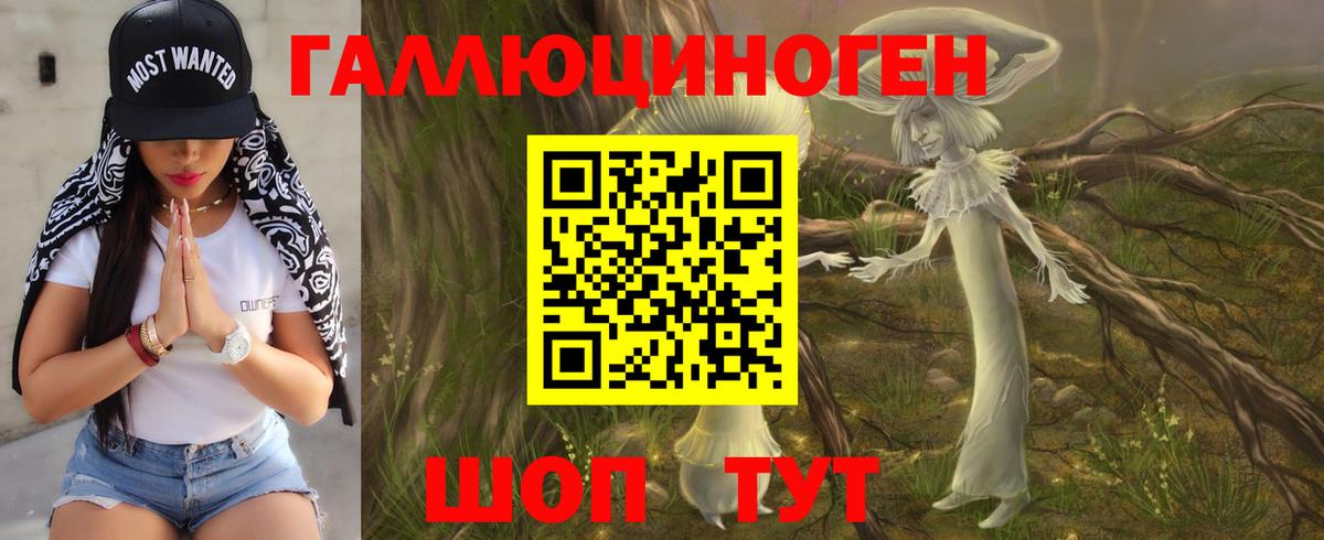 Галлюциногенные грибы Psilocybine cubensis  Вход с VPN  Александров 